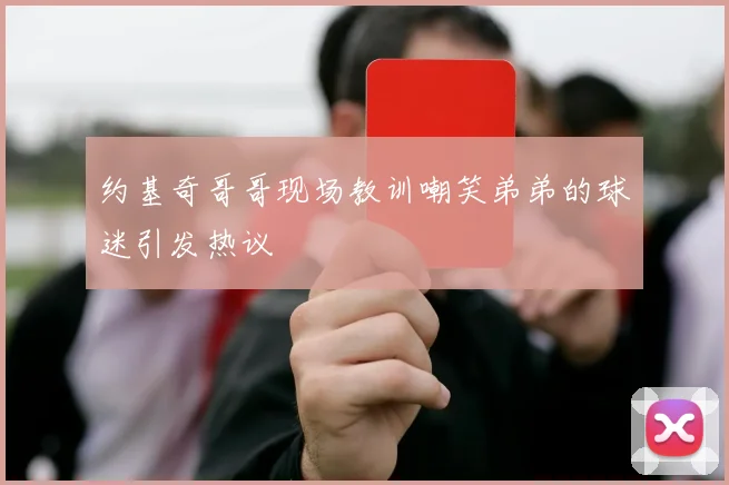约基奇哥哥现场教训嘲笑弟弟的球迷引发热议