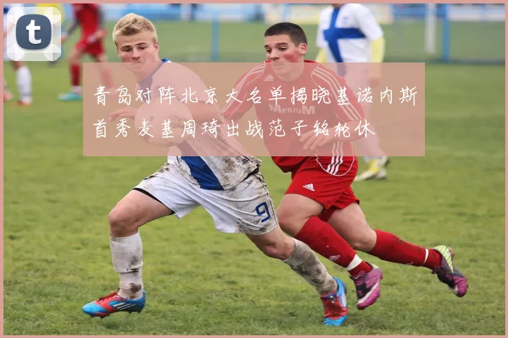青岛对阵北京大名单揭晓基诺内斯首秀麦基周琦出战范子铭轮休