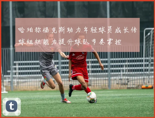 哈珀称福克斯助力年轻球员成长传球组织能力提升球队节奏掌控
