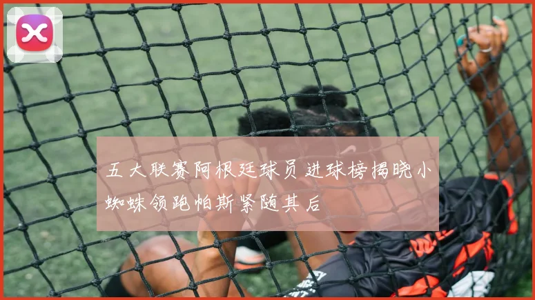 五大联赛阿根廷球员进球榜揭晓小蜘蛛领跑帕斯紧随其后